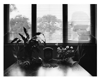 The Perpetual Teabreak